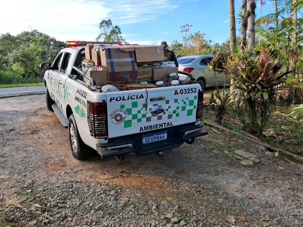 Operação conjunta prende homem e apreende mais de 400 hastes de palmito-juçara clandestino em propriedade rural de Iguape
