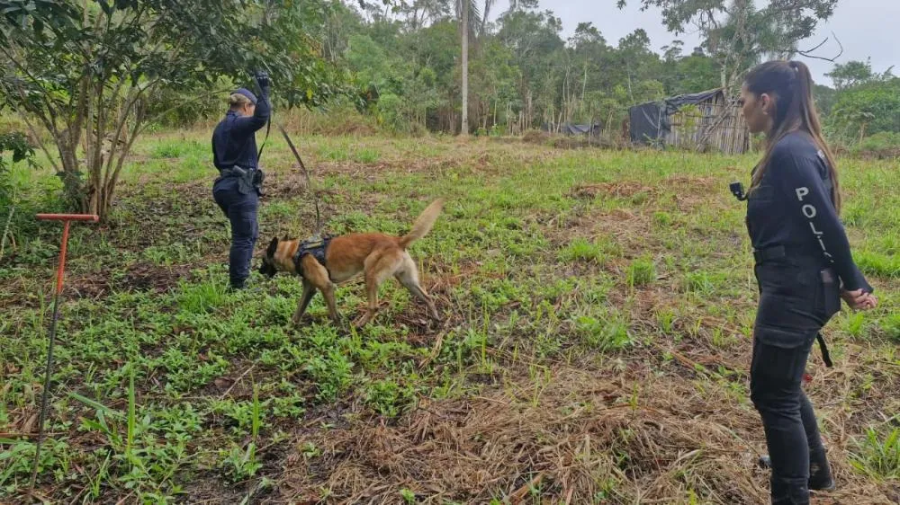 Cães farejadores especializados da Guarda Civil Metropolitana são mobilizados para reforçar buscas por jovem desaparecido em Pariquera-Açu